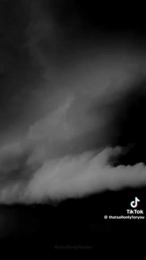 Коты воители