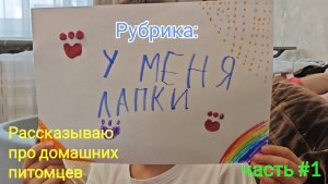 Рубрика "У меня лапки" часть #1. Рассказываю про своих домашних питомцев