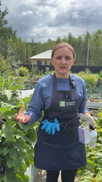 ДЕЛАЙТЕ ТАК, ЧТОБЫ НЕ БЫЛО БОЛЕЗНЕЙ В СЛЕДУЮЩЕМ ГОДУ смотреть онлайн