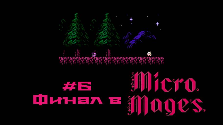 #6 Финал в Micro Mages