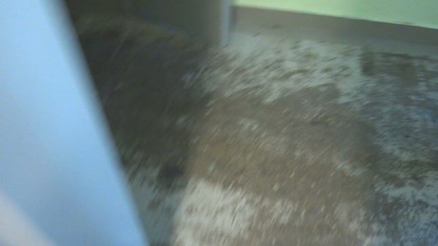 Грузопассажирский, пассажирский лифт V=1 м-с, Q=400, 630 кг (5006), музыкальные лифты ЩЛЗ