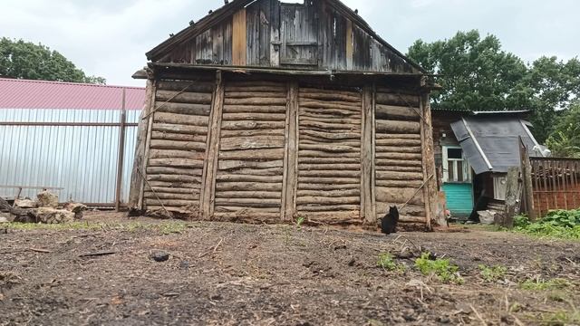 Разбираю стену сарая смотреть онлайн