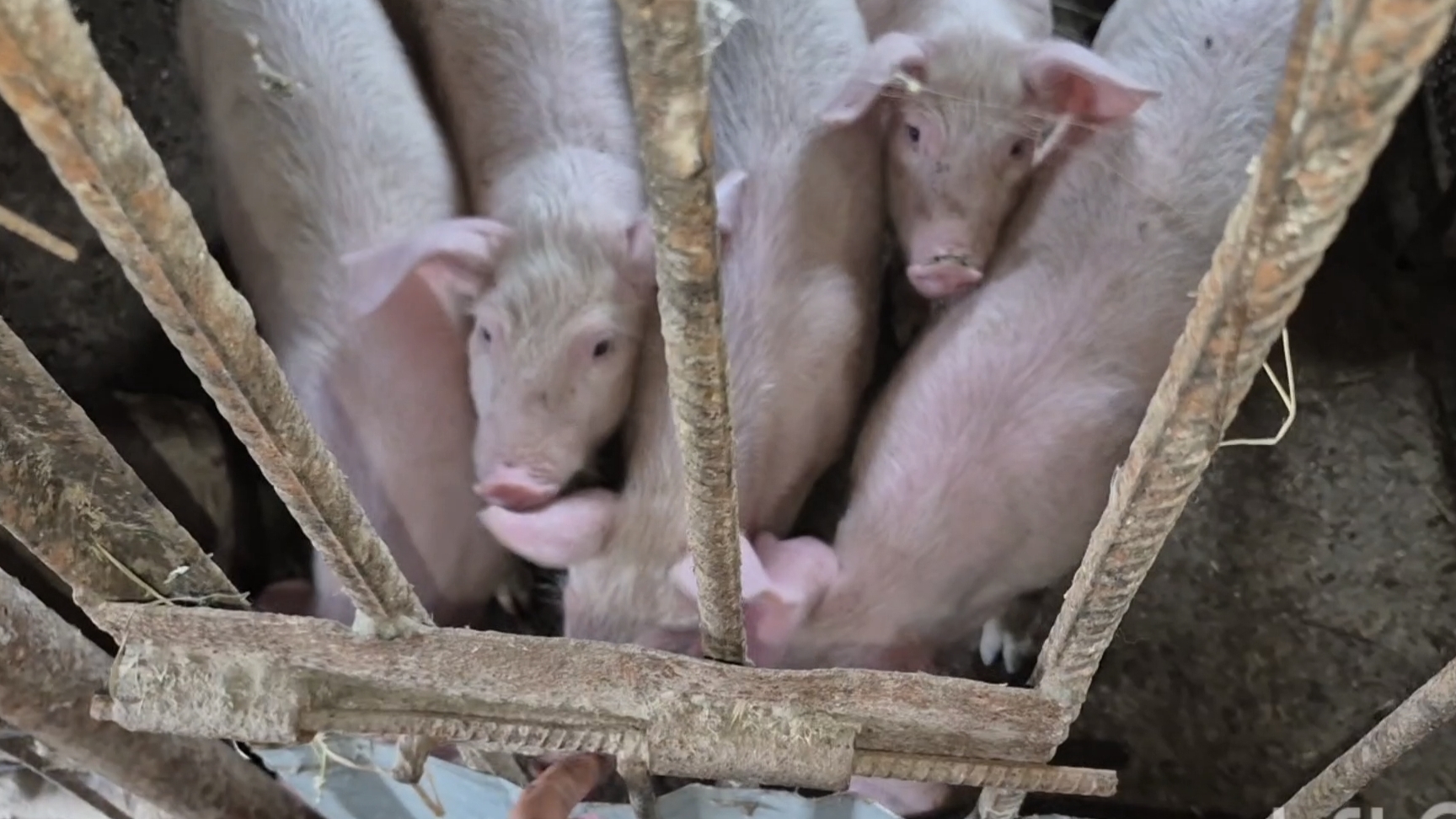 Алтай,Сибирь,Заринск,Влог смотреть онлайн