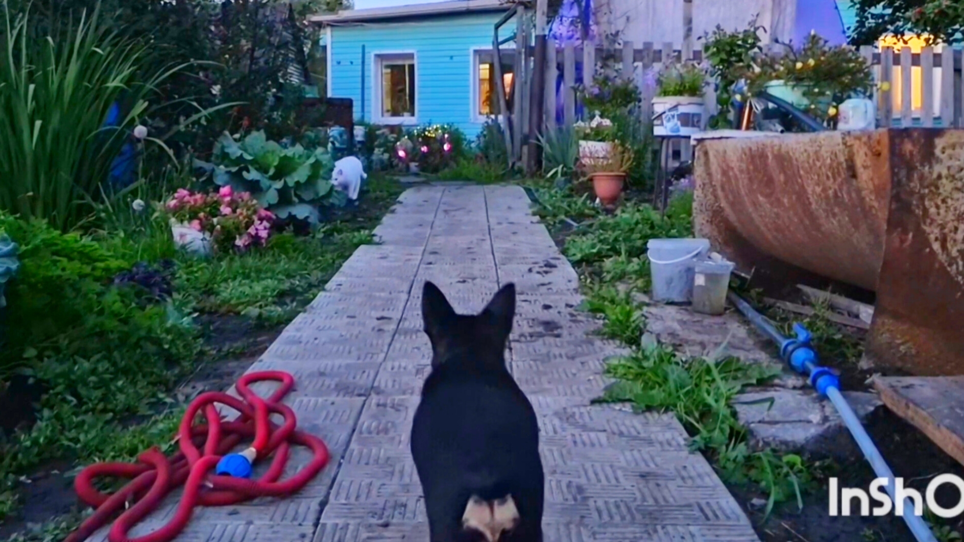 В деревне наступил вечер затем утро,Природа Просыпалась смотреть онлайн