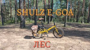SHULZ E-GOA,лес