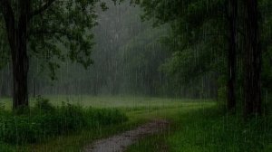 Звуки природы без музыки слушать. Летний дождь. Дождь. Дождь без грома. Звуки дождя для сна