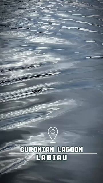 Куршский залив. Полесск.