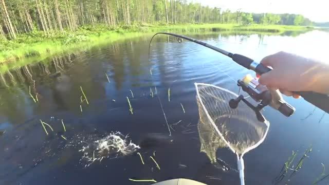 ТРИ ДНЯ В ТАЙГЕ _ ЛОВЛЯ ЩУКИ НА КРУЖКИ _ РЫБАЛКА НА СПИННИНГ _ ТАЕЖНАЯ ИЗБА _ КАРЕЛИЯ _ часть 1. смотреть онлайн