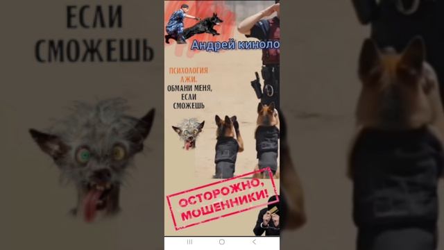 Продлеватели ,курьеры и прочая нечисть с 404 . смотреть онлайн