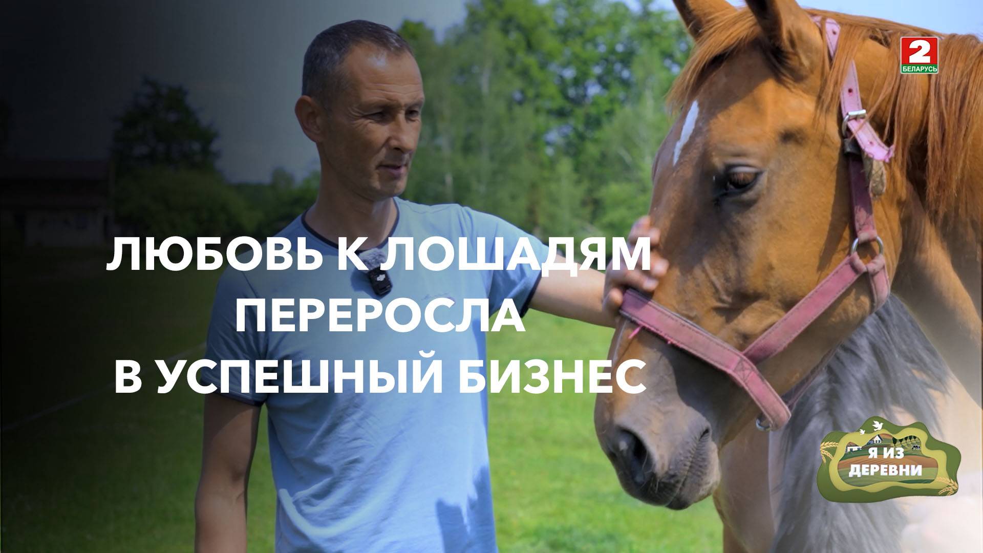 Конная ферма, зоопарк и летний лагерь за 10 лет жизни в деревне. Я из деревни. Деревня Малаховцы смотреть онлайн