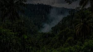 Звуки природы для релаксации и успокоения нервов. Природа. Дождь. Гром и дождь в джунглях Амазонки