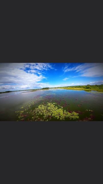 Хабаровский край и DJI Avata