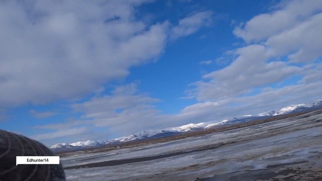 Шикардосный налет гусей / 5 выстрелов 4 гуся (полная версия) смотреть онлайн