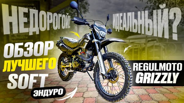 Обзор Regulmoto Grizzly 300