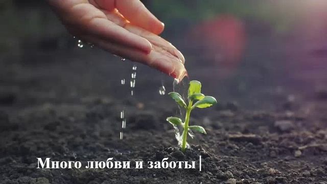 Фитолампа ЭРА FITO 18W RB E27 v смотреть онлайн