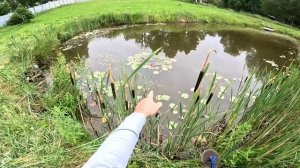 Электрик почти закончил ! Выкосил пруд ! Промок до нитки ! ХУТОР В ЛЕСУ №757