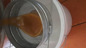 Две семьи в огороде на финишной прямой.