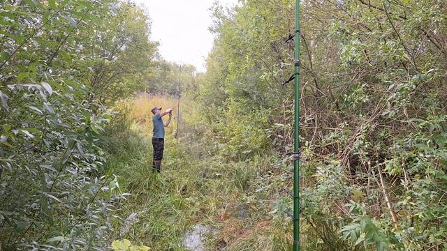 ловля птиц смотреть онлайн