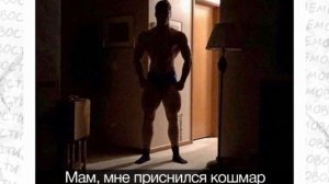 Мемы, мемы и мемы