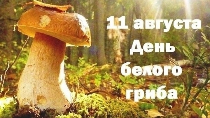 11.08.25 - День белого гриба смотреть онлайн