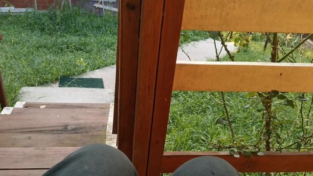 СОЧИ ГОРНОЕ ЛОО УТРО 11.08.2025 смотреть онлайн