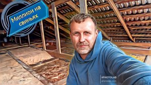 ‼️Терминальные породы свиней‼️