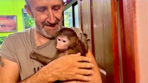 Мы с папой решили выпустить всех вместе погулять, Басика,Мону, Анфису, Лорика и Финика)))