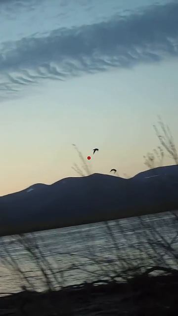 ShotKam Саха Сирэ весна 2025  #edhunter14 #природа #охота #hunting #fishing #nature #wildlife #birds