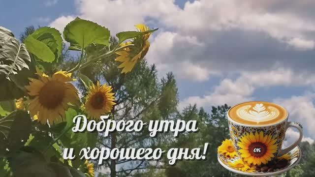 Доброго утра и хорошего дня!) смотреть онлайн