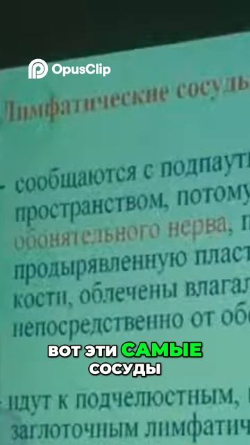 Нос 👃 и Мозг 🧠_ Удивительная Связь!