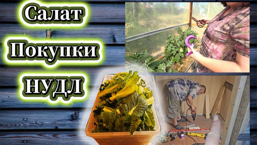 129-25!СОРТА СИНЕНЬКИХ/САЛАТ/ПОКУПКИ/ЗАМОРОЗИЛА БОК-ЧОЙ/ЧТО В БАНЕ/УЧУСЬ ПЛАВАТЬ С НУДЛ