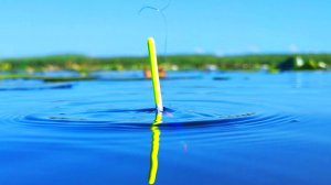 Забрался в реальные дебри кувшинок А ТАМ КОНИ!!! РЫБАЛКА НА ПОПЛАВОК!