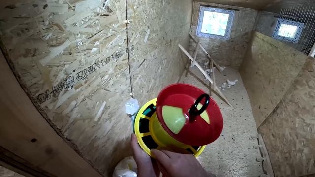 Малявку забыли дома , а сами ушли ! Они будут жить вместе ! ХУТОР В ЛЕСУ №732 смотреть онлайн