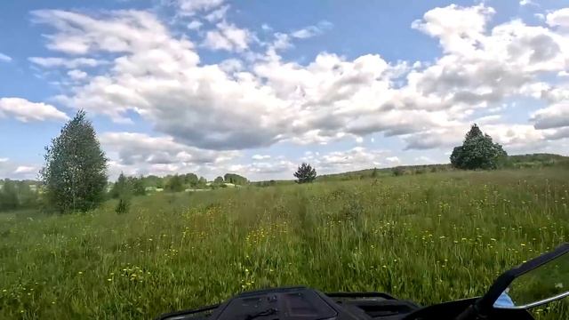 Встретил лося ! Было очень опасно ! Хапнул адреналина ! ХУТОР В ЛЕСУ №731 смотреть онлайн