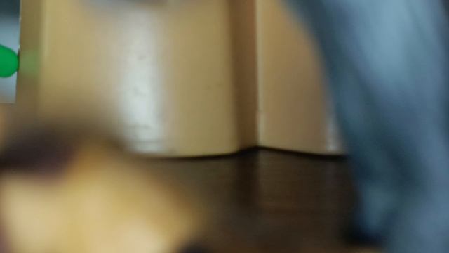 развитие малышей кинг-конга