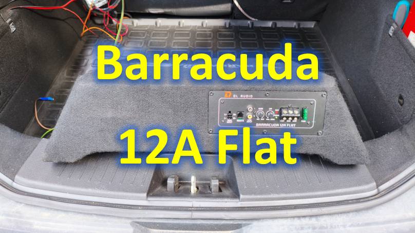 Barracuda 12A Flat смотреть онлайн