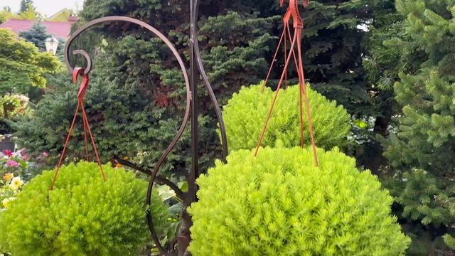 Добро пожаловать на ярмарку "ЦВЕТЫ И МЕД КРУГЛЫЙ ГОД" с 12-16 августа в выставочный зал "Сивел Экспо смотреть онлайн