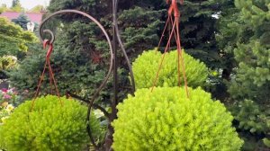 Добро пожаловать на ярмарку "ЦВЕТЫ И МЕД КРУГЛЫЙ ГОД" с 12-16 августа в выставочный зал "Сивел Экспо