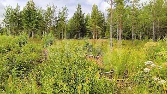 9270937 ПСОК № 5 Транспортный Строитель смотреть онлайн