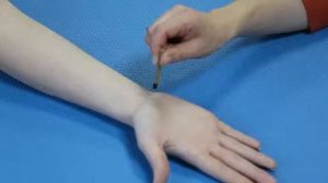 Су Джок инструменты # 6