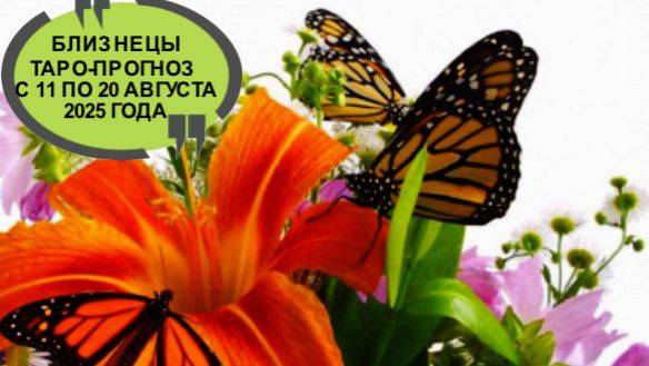 БЛИЗНЕЦЫ ТАРО-ПРОГНОЗ С 11 ПО 20 АВГУСТА 2025 ГОДА смотреть онлайн