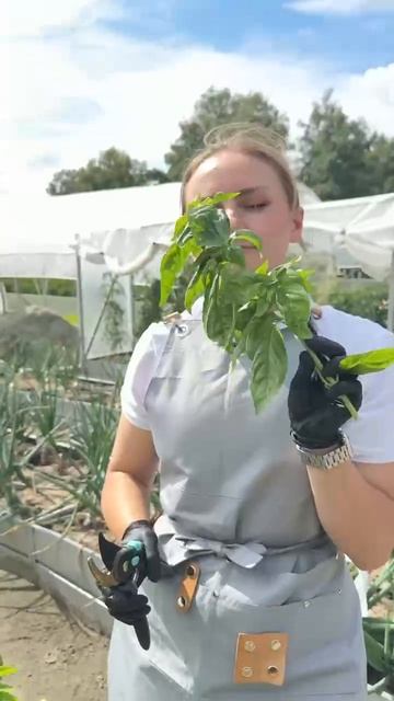 УРОЖАИ 2025 смотреть онлайн