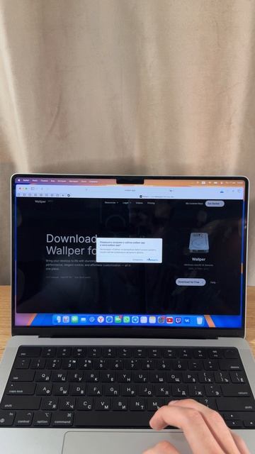 Живые 4к-обои на MacBook смотреть онлайн