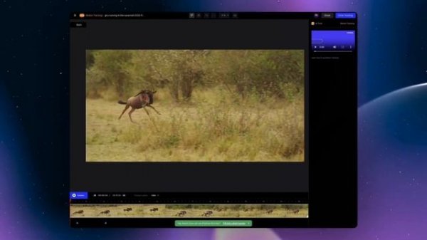 Руководство по RUNWAY AI для начинающих — изучаем создание видео с помощью ИИ