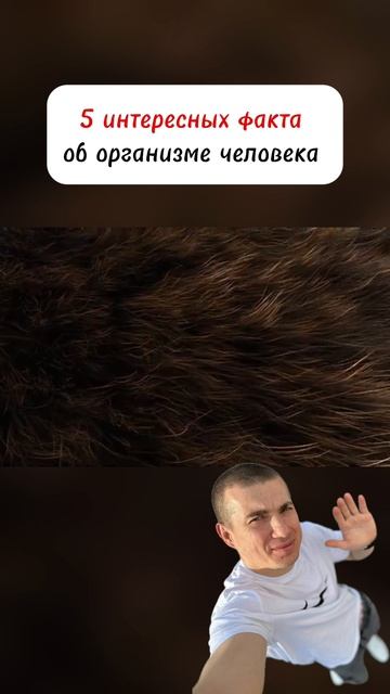 #интересныйфакт