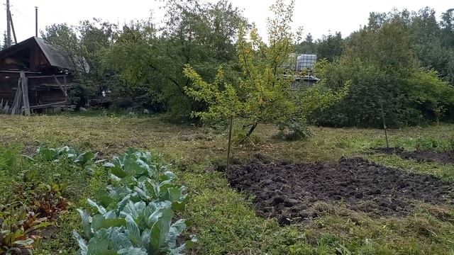 11-08-2025 смотреть онлайн