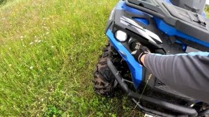 Собаки опять пришли ! Тут кто то есть ! ХУТОР В ЛЕСУ №756