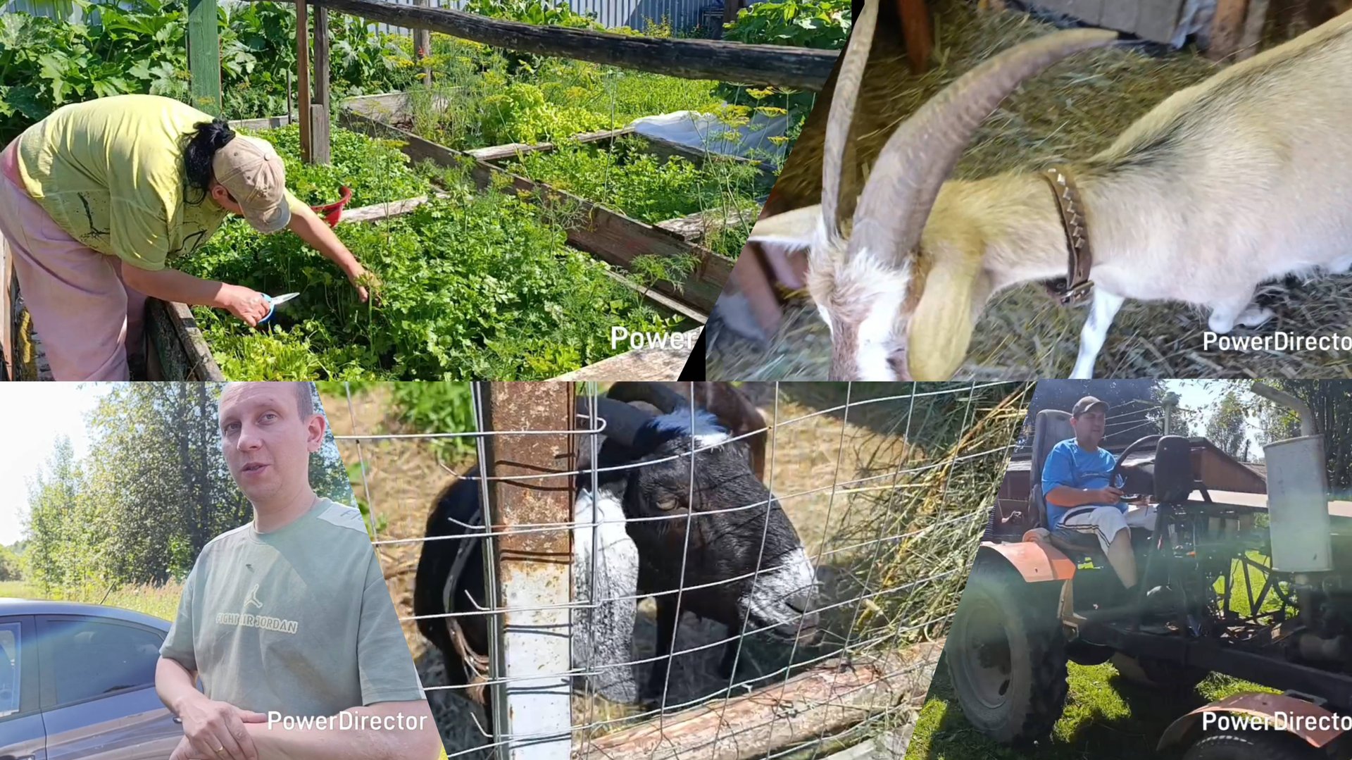 Все гости довольны 🫠Наводим порядки, а Дима всё поёт😉