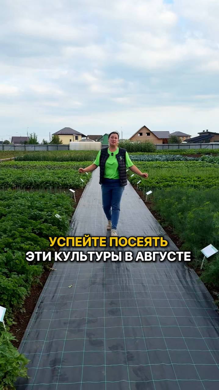 Успейте посеять эти культуры В АВГУСТЕ!