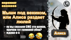 АЛИСА. Мыши под веником, или Алиса раздает люлей.